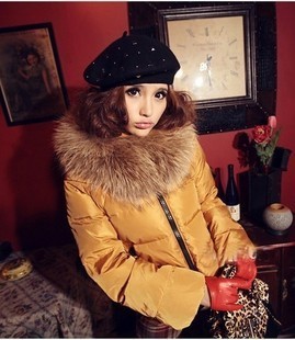 2012¿ݻëŮװٴӺ񺫰޷