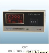 ¿XMT-101