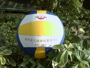 120G˱ǿ