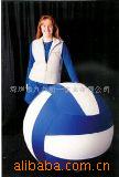 1mPro-StyleVolleyb