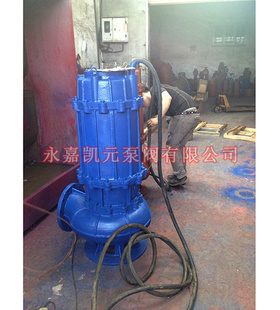 WQQW350-1300-12-75Ǳ۱ãཬǱˮ۱óֱ
