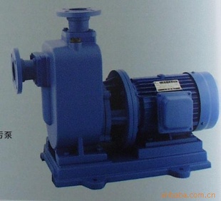 ̨65ZW20-30޶ˮ