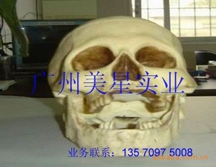 PUӲݡݲߡPUޡĭƷ