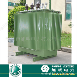 S9-Mϵ10KV200KVAʽѹ