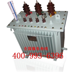 S11100KVA10/0.4ѹ