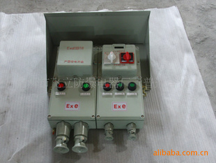 BXD28-T1