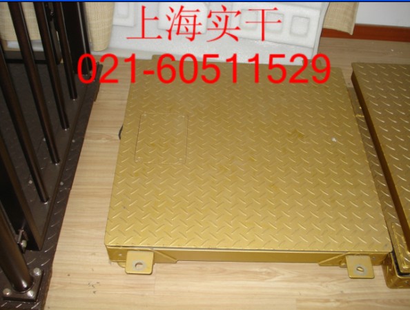 XK3190-A6ӳӡ2XK3190-A6