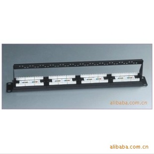 ֱ24߼24portCat5epatchpanel