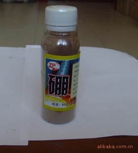 ӱۼ۸