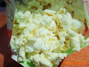 ΢¯׻ζ120g