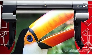 CANON/IPF8110ӡ