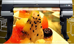 CANON/IPF8010Sӡ
