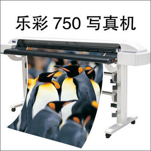 Ӧֲ750дݿ