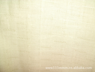 ޲21S*19S/51*58/55“