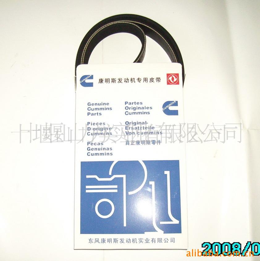 翵˹Ƥ8PKbelt