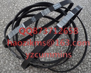 ˹K50Ƥ3039376belt,vribbed