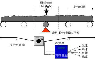电子皮带秤,皮带秤,好皮带秤,输送机秤采用标准