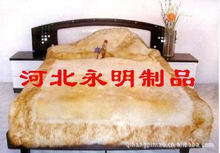 캽ƤëƷ̺ѧ̺ô̺