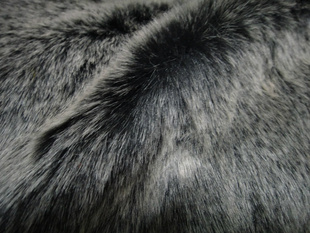 ڵʰ׷ë