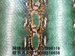 ﹤¿ƷߵPUƤִ