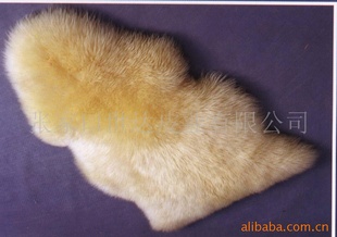ʢ˼AUSTRALIAëƤƷ