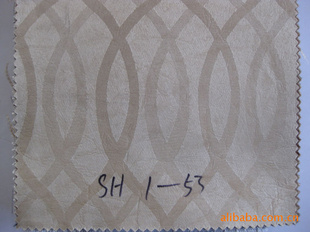 ƤƤSHI-53Ҳӭ
