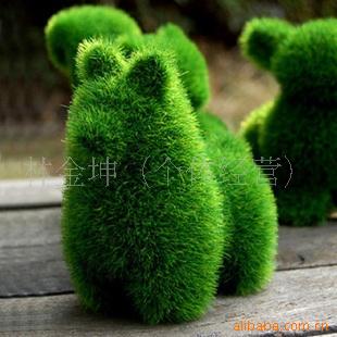 GrassLandݰ-3(