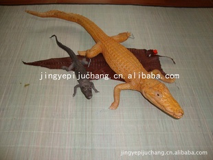 ֱӹƤƤƤƷƷ