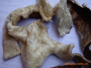 大量毛皮边角料皮衣边角料碎毛皮碎羊皮