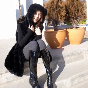 ֻ2012ﶬñëƤг