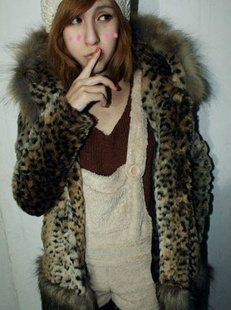 2011¿ƴñƤ