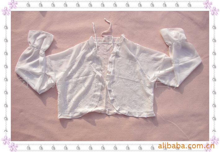 PJ04Ц