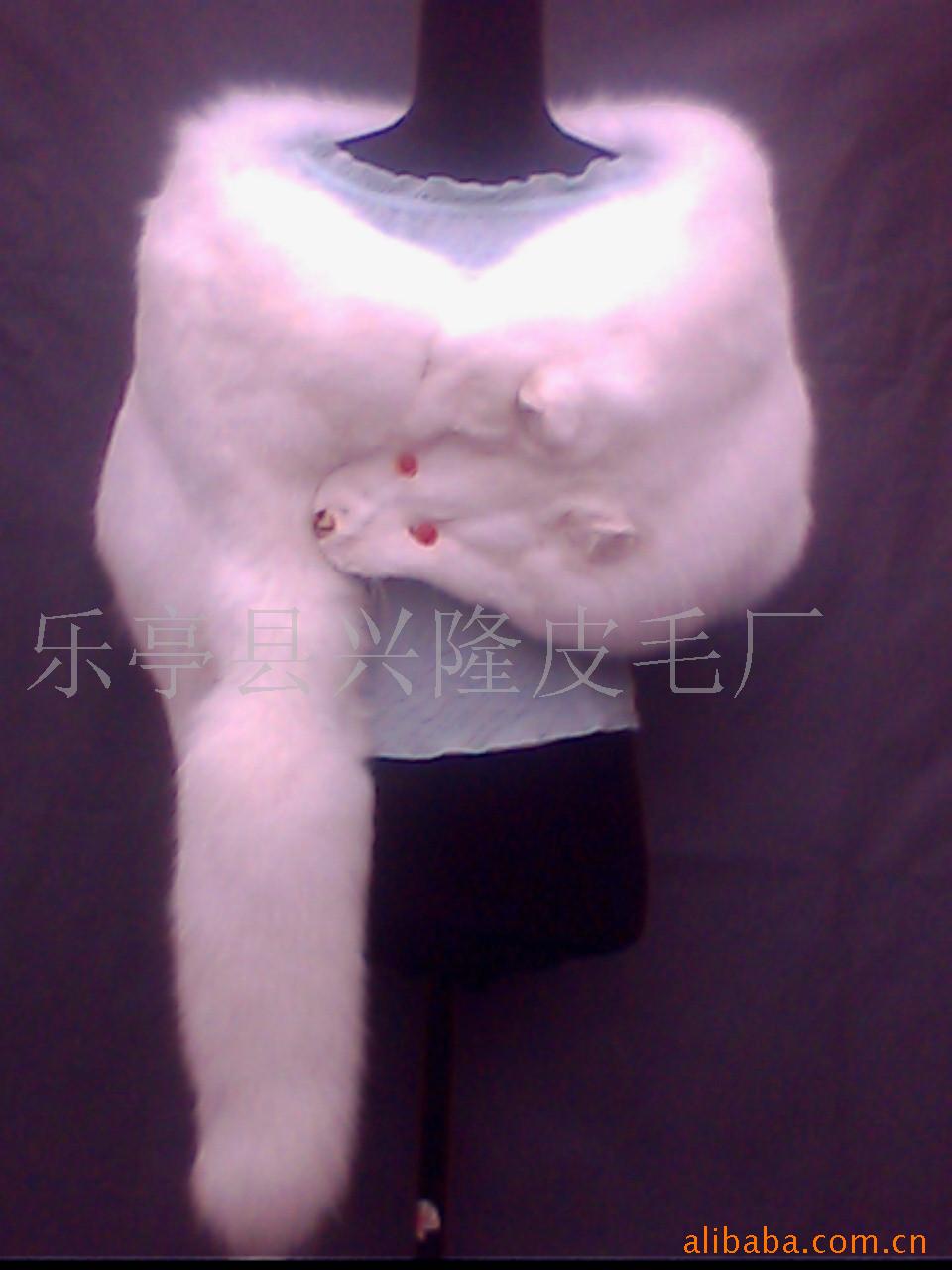 ݻƤ絥һѩƤδͷ