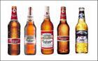 Ϻơ600ml*12ֹŹ5%