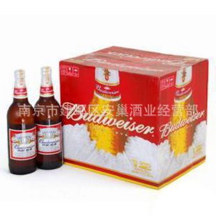 ơ500ml*12ƿװϾơ