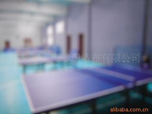 乒乓球用品乒乓球运动地板室内场地标准卷材