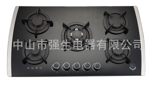 2011¿úgasstove(cookstove)