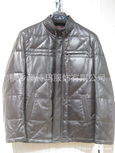 ʫ2012¿ʿƤASM-B910313