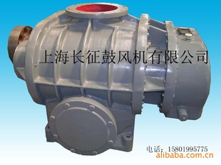 L48*66WD-1罗茨鼓风机