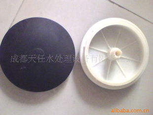 豸——ͷ
