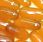 ͣ컨ͣ