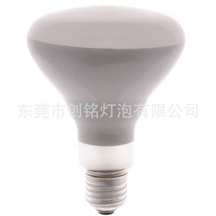 R95R95ƵR95R95ƵREFLECTORLAMPS