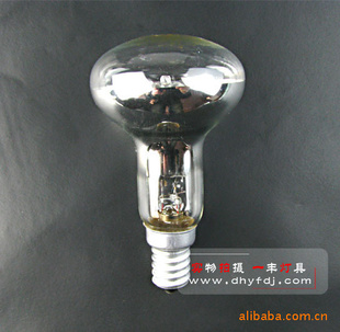 R50ݵ±ݵ230V70W=100WE27/E14ܵ