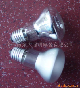 海宁东大LED箱灯泡T18箱灯泡