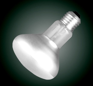 ɽFSLݷR6340W/60W
