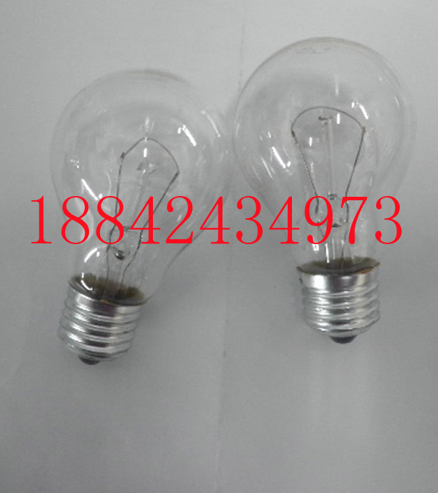 Ӧ12V100W60W׳