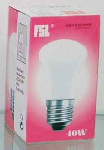 ɽFSLĢE2725W40W60W