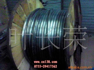 25*3MMֻǦ