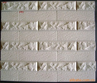 ͨǽש60*240mm