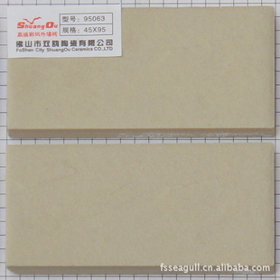 㶫˫ŸƲש45*95mmֱɳͨǽש95063